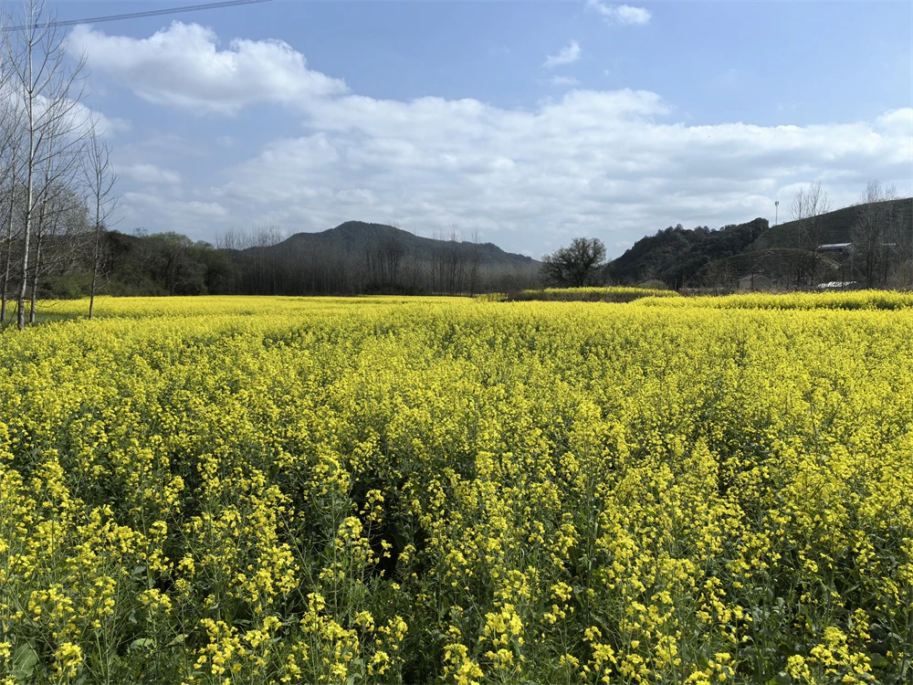 深化合作·共鉴品质